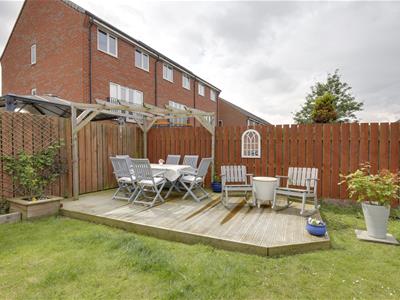 Picture 21
